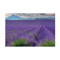 Cora Niele 'Lavender Fields Provence' Vászon Művészet