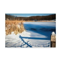 Védjegy képzőművészet 'Cattails and Post in Snow Along Pond' vászon művészet Anthony Paladino