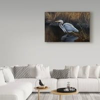 Védjegy Képzőművészet 'Making Strides Great Blue Heron' vászon művészete: Wilhelm Goebel